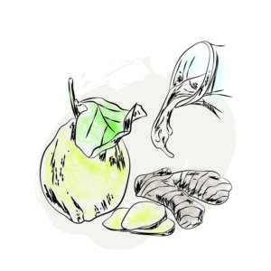 Crema al Limone e Zenzero