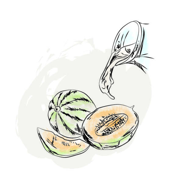 Crema al Melone