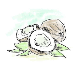 Crema al Cocco
