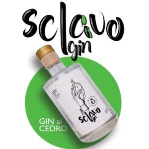 Gin Sclavo
