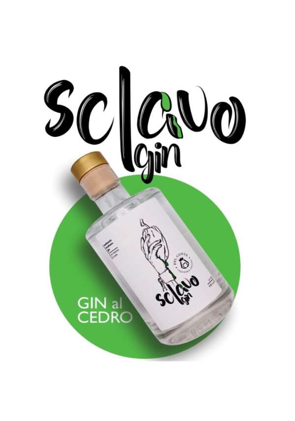 Gin Sclavo